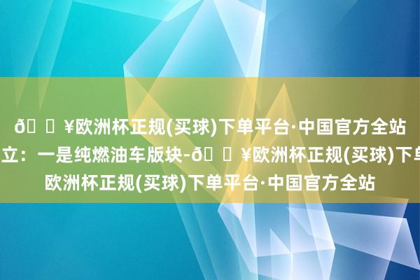 🔥欧洲杯正规(买球)下单平台·中国官方全站新车一共两种能源成立:一是纯燃油车版块-🔥欧洲杯正规(买球)下单平台·中国官方全站