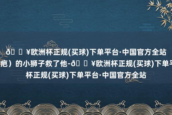 🔥欧洲杯正规(买球)下单平台·中国官方全站一只名叫塔卡(刀疤)的小狮子救了他-🔥欧洲杯正规(买球)下单平台·中国官方全站