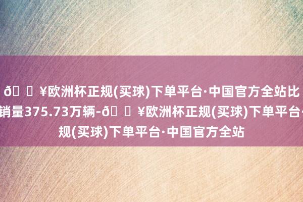 🔥欧洲杯正规(买球)下单平台·中国官方全站比亚迪新能源车销量375.73万辆-🔥欧洲杯正规(买球)下单平台·中国官方全站