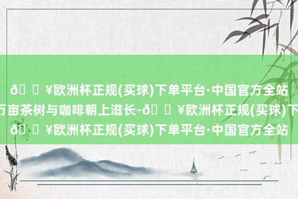🔥欧洲杯正规(买球)下单平台·中国官方全站温润的称心也润泽着万亩茶树与咖啡朝上滋长-🔥欧洲杯正规(买球)下单平台·中国官方全站