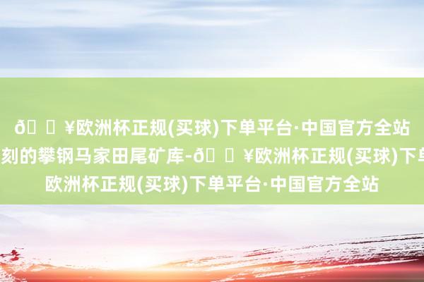 🔥欧洲杯正规(买球)下单平台·中国官方全站是始建于三线建设时刻的攀钢马家田尾矿库-🔥欧洲杯正规(买球)下单平台·中国官方全站