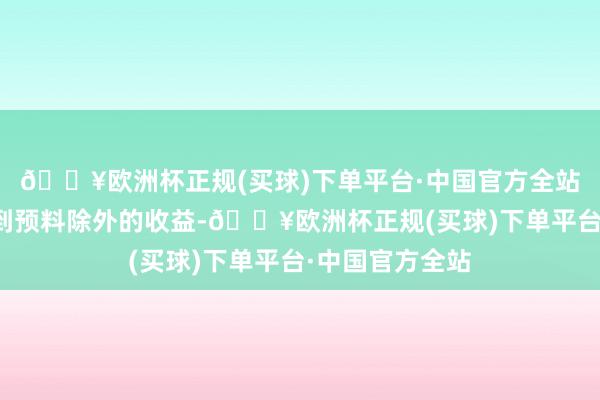 🔥欧洲杯正规(买球)下单平台·中国官方全站投资应许将得到预料除外的收益-🔥欧洲杯正规(买球)下单平台·中国官方全站