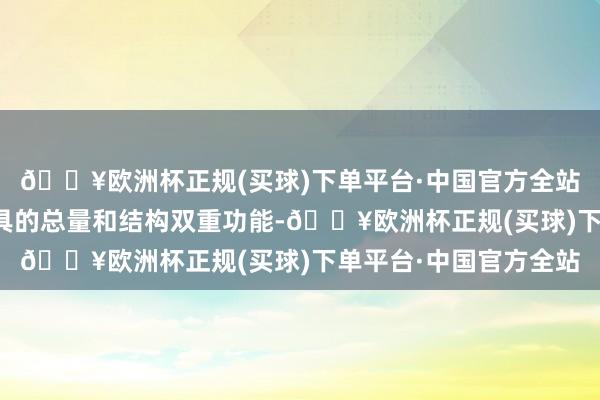 🔥欧洲杯正规(买球)下单平台·中国官方全站更好线路货币政策器具的总量和结构双重功能-🔥欧洲杯正规(买球)下单平台·中国官方全站
