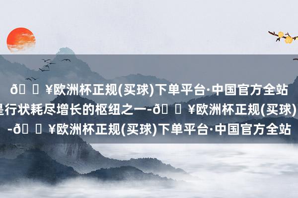 🔥欧洲杯正规(买球)下单平台·中国官方全站破解“足不及”问题是行状耗尽增长的枢纽之一-🔥欧洲杯正规(买球)下单平台·中国官方全站
