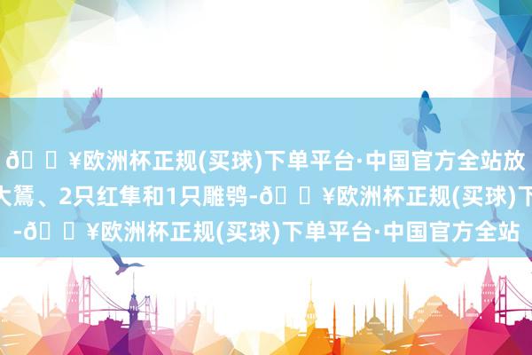 🔥欧洲杯正规(买球)下单平台·中国官方全站放归的9只猛禽包括6只大鵟、2只红隼和1只雕鸮-🔥欧洲杯正规(买球)下单平台·中国官方全站